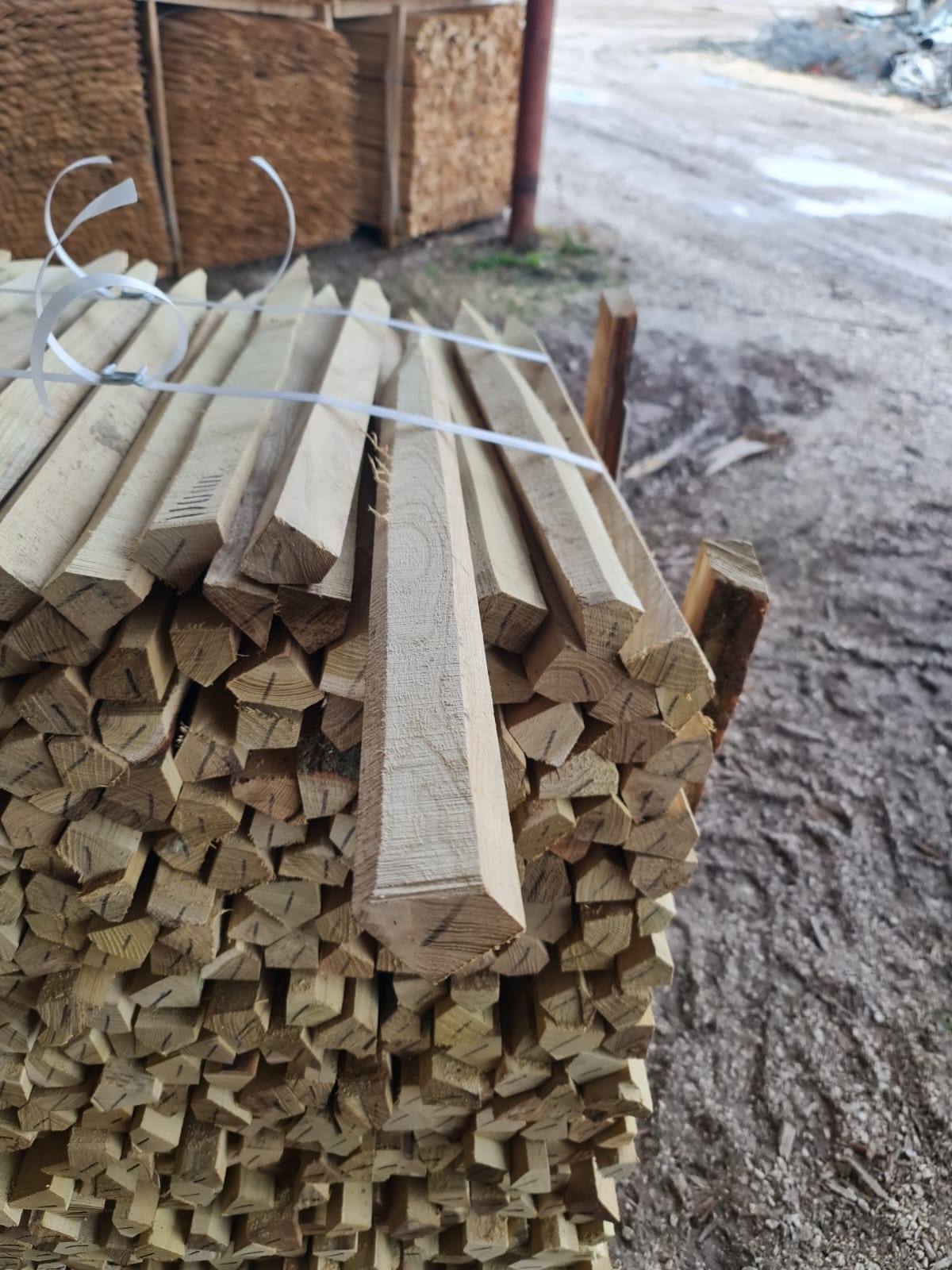 Bundle țăruși triunghiulari salcâm 0.8m cu chingă