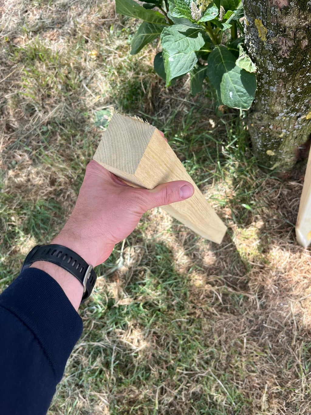 Stâlpi pătrați salcâm gata de livrare pe palet