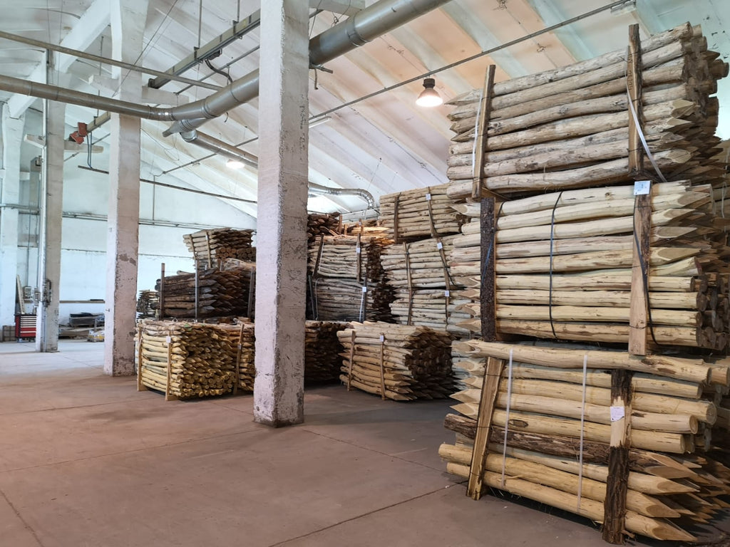 Stoc stâlpi rotunzi salcâm decojiți sub adăpost de producție