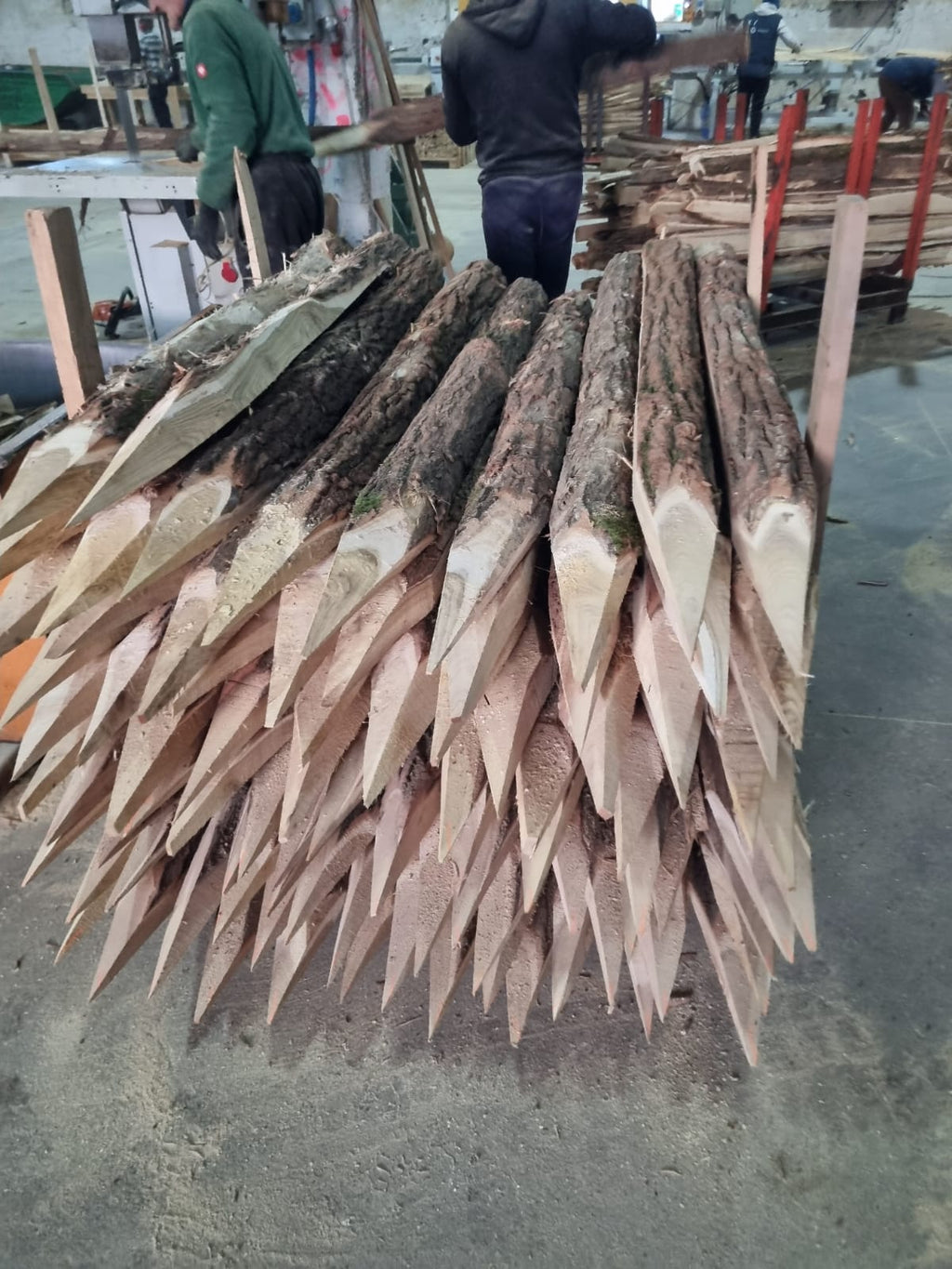 Stâlpi tăiați nedecojiți în atelierul de producție